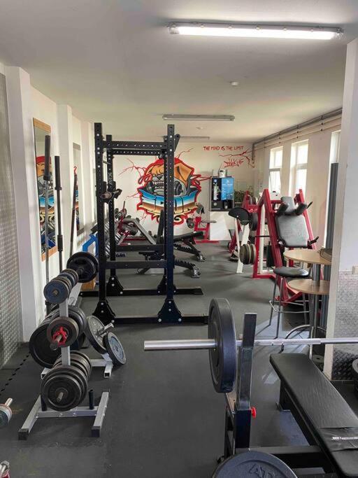 Ferienwohnung Mit Fitnessstudio Top1 Plauen Extérieur photo